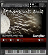 26" Japanese Wind Gong + SFX